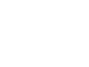 ferrioni